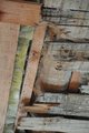 thumbnails/006-DSC_8461.JPG.small.jpeg