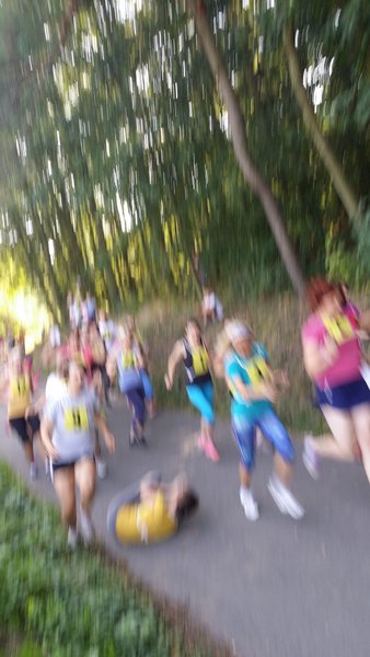 ../previews/126-20160910_114449.jpg.medium.jpeg
