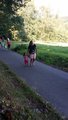 thumbnails/012-20160910_104642.jpg.small.jpeg