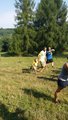 thumbnails/038-20160910_110017.jpg.small.jpeg