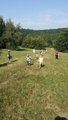 thumbnails/050-20160910_110520.jpg.small.jpeg