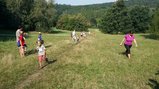 thumbnails/051-20160910_110524.jpg.small.jpeg