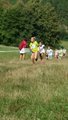 thumbnails/055-20160910_110841.jpg.small.jpeg