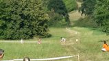 thumbnails/067-20160910_111109.jpg.small.jpeg
