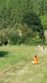thumbnails/083-20160910_111623.jpg.small.jpeg