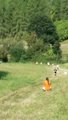 thumbnails/084-20160910_111627.jpg.small.jpeg