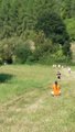 thumbnails/085-20160910_111628.jpg.small.jpeg