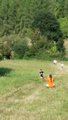thumbnails/086-20160910_111631.jpg.small.jpeg