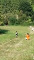 thumbnails/087-20160910_111632.jpg.small.jpeg
