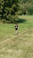 thumbnails/088-20160910_111636.jpg.small.jpeg