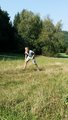 thumbnails/099-20160910_111802.jpg.small.jpeg