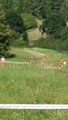 thumbnails/116-20160910_113122.jpg.small.jpeg