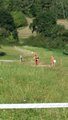 thumbnails/117-20160910_113128.jpg.small.jpeg